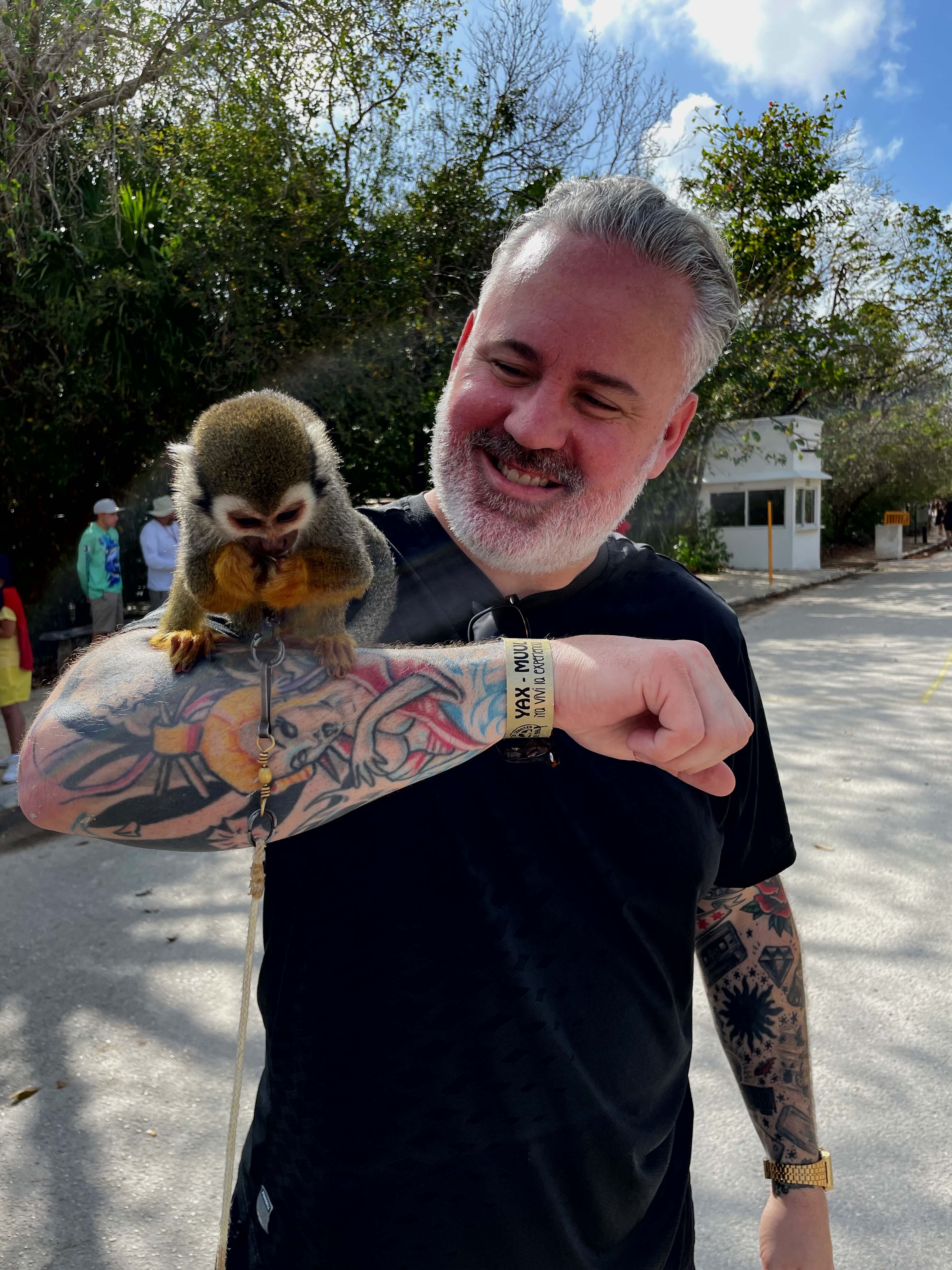 Monkeys in Mexico